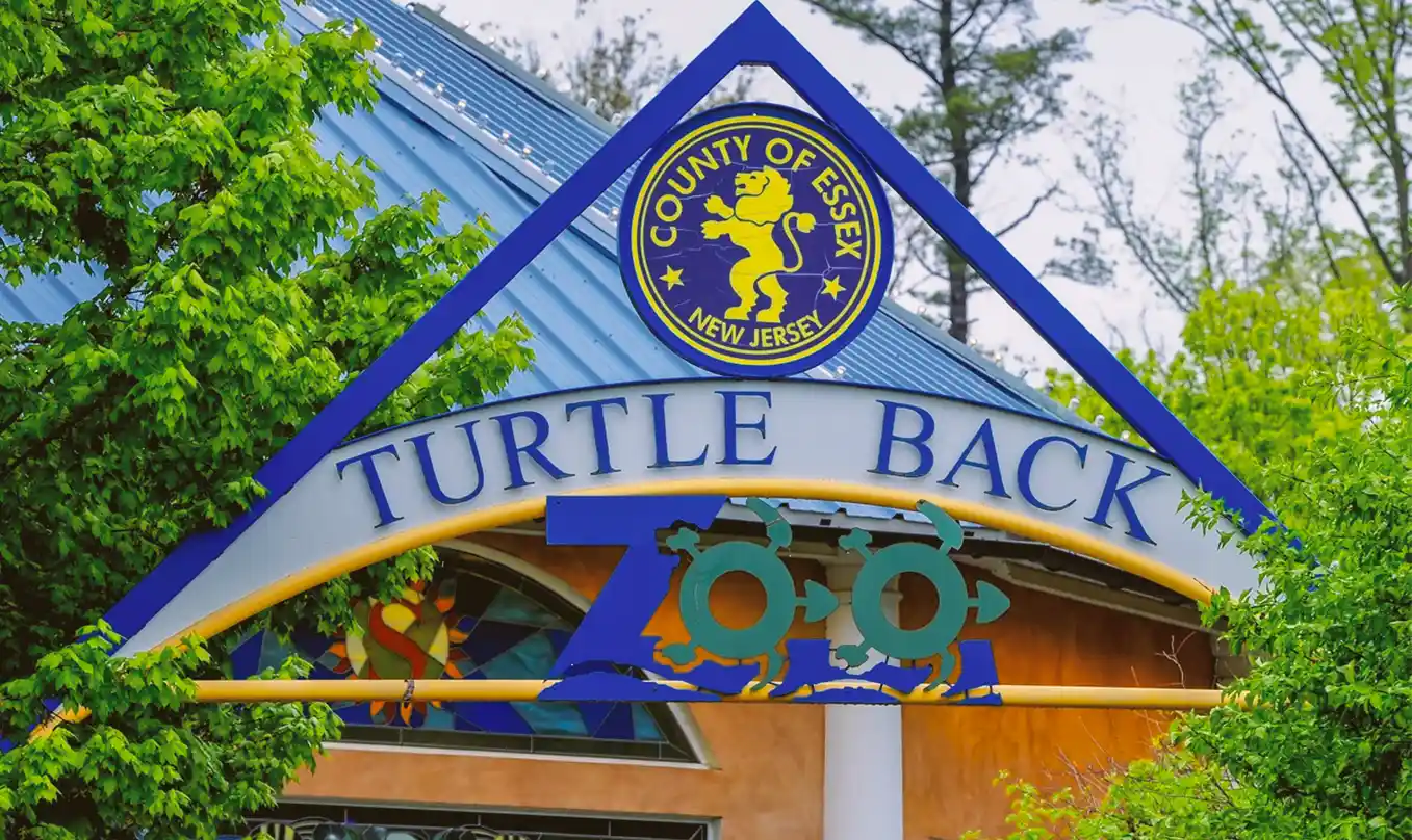 Turtle Back Zoo Highlights: Tips for an Unforgettable Visit