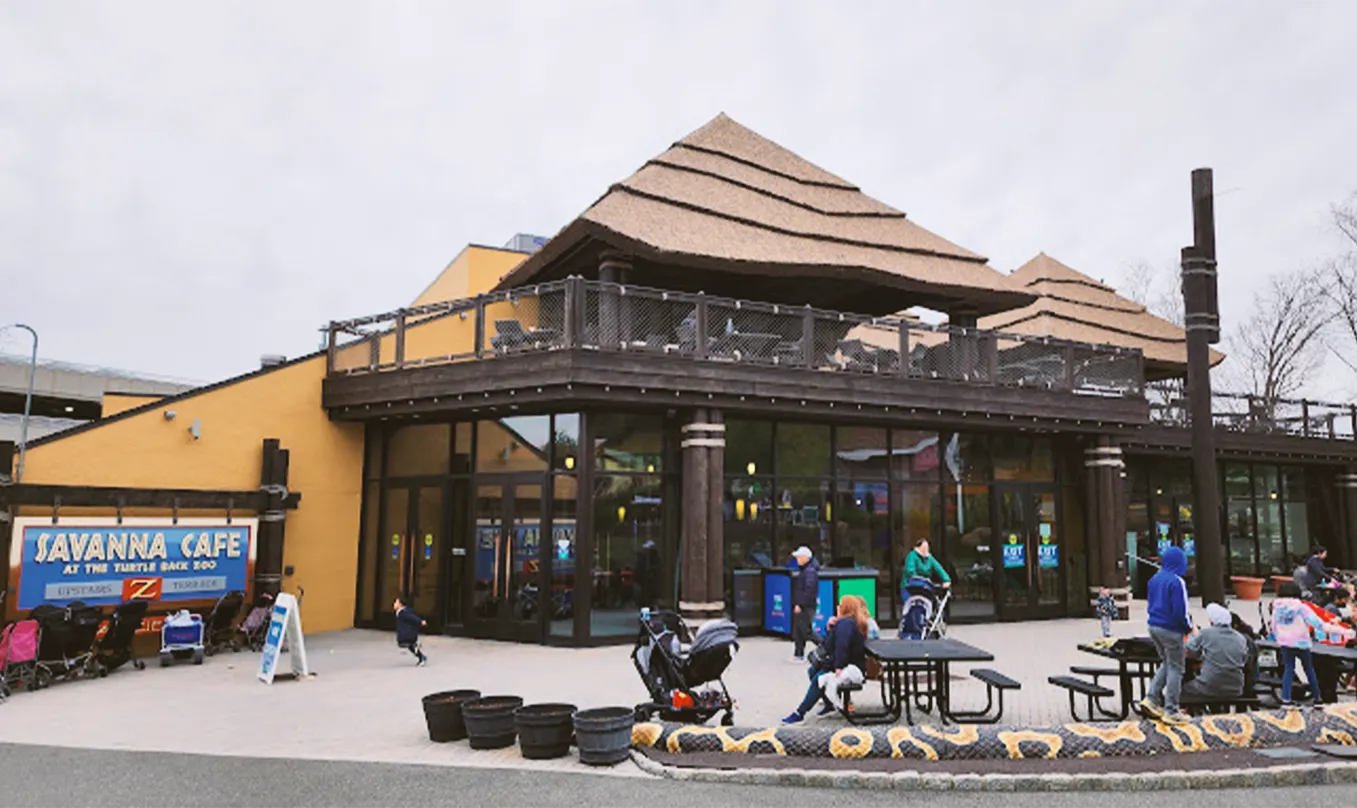 Where to eat at turtle zoo